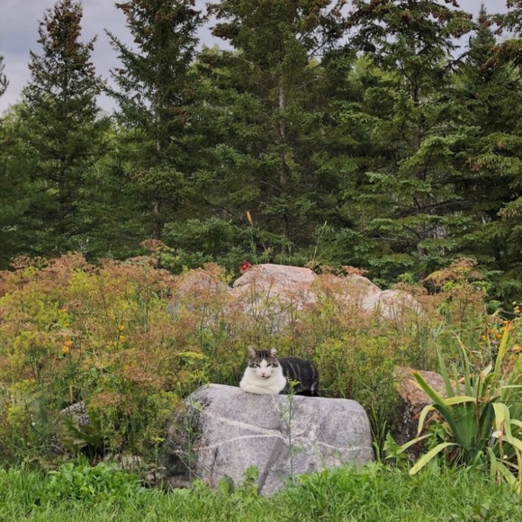 Meet your Posher, Asia - Picture 1 of 1